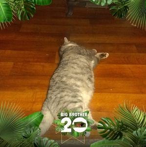 Meet your Posher, Joseph